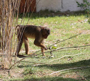 ZOOM Erlebniswelt Gelsenkirchen