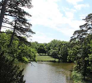 Laxenburg. парк