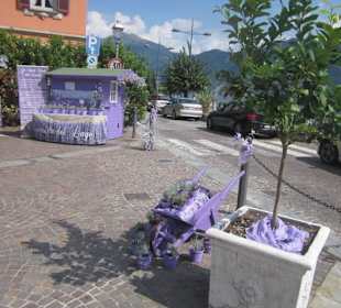Uferpromenade Menaggio