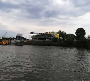 Musical König der Löwen