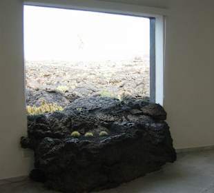 Fundacion Cesar Manrique