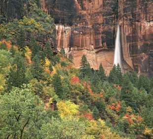 Zion Canyon NP