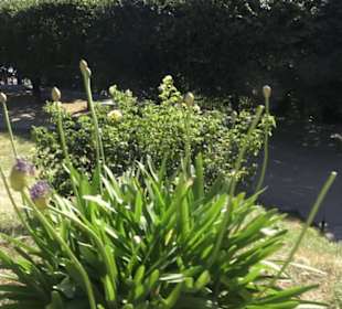 Altstadt - Rund um das Terrassenufer