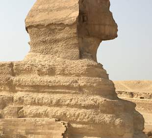 Sphinx von Gizeh