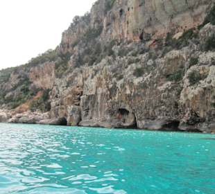 La costa (dettaglio)