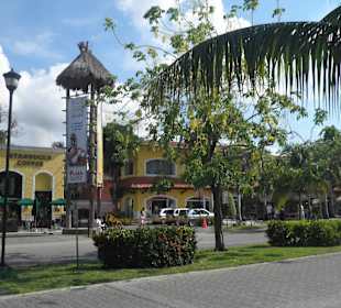 Shopping Playacar
