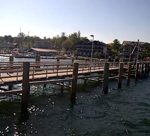 Schifffahrt Fraueninsel nach Gstadt