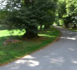 Gedenkstätte Grafeneck