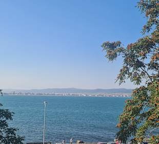 Ausblick 