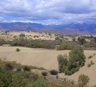 Dünen von Maspalomas