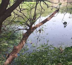 Idyllisch anzusehen, aber sehr gefährlich