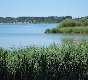 Blick vom Beobachtungsturm im Kurpark Seebruck
