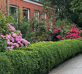 Restaurant Altes Inselhaus