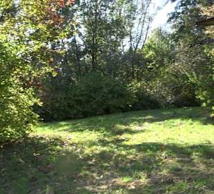 Baumlehrpfad Zollertal