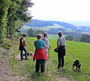Aufstieg zum Masenberg