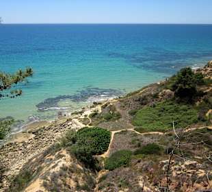 Meer