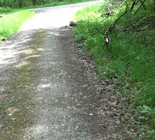 Wandertour Feuchtgebiet Schönbuch