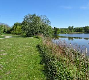 Eindrücke vom Spielmannsteich