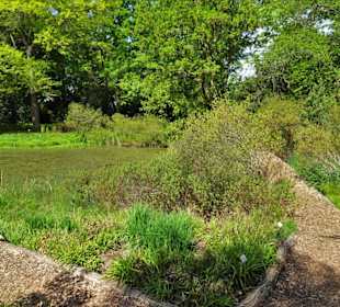Eindrücke vom Rundgang durch den Berggarten