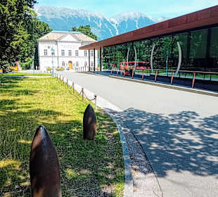 A.Hofer Museum