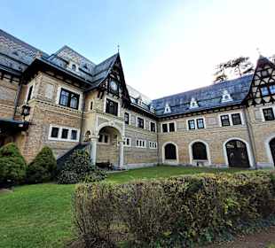 Eugen Villa