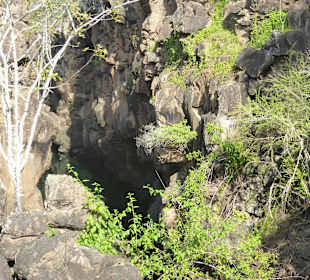 Blick in die Felsenschlucht