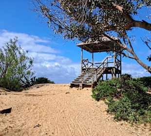 Periurbano de La Barrosa Park