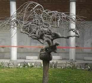Baum an der Hagia Sophia