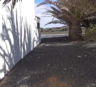 Parroquia San Francisco Javier 