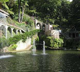Tropisches Garten - Monte