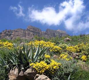wunderbare Farbkontraste