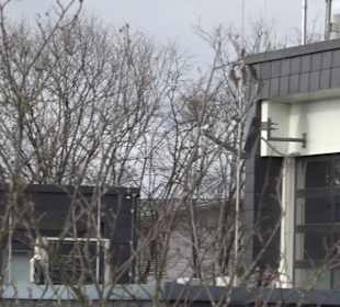 Kulturforum Großbettlingen