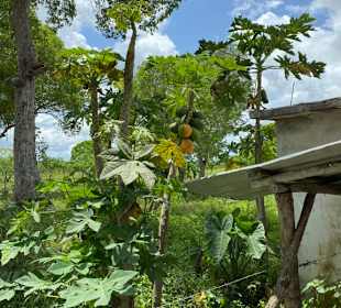 Ausflug Land und Leute