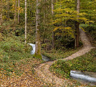Zauberwald