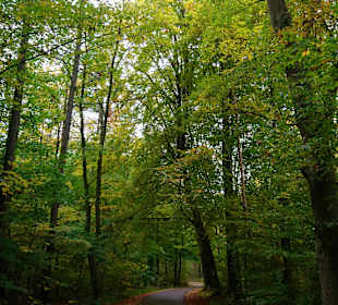 Wandern Templin