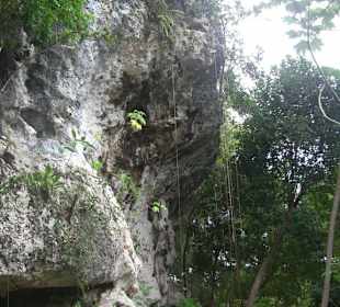 Ausblick von der Höhle