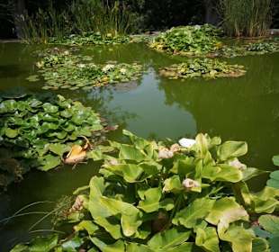 Botanischer Garten Puerto de la Cruz