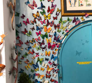 Key West Butterfly & Nature Conservatory