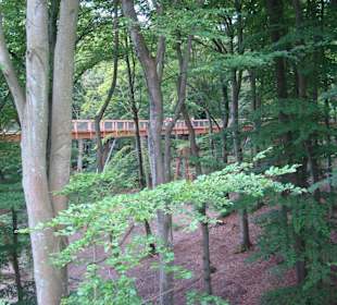 Baumwipfelpfad (650 m Lang)