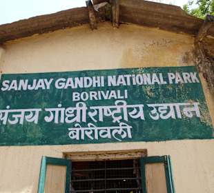Im Nationalpark Sanjay Gandhi