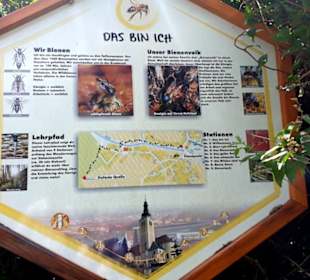 Über Biene und Bienenvolk