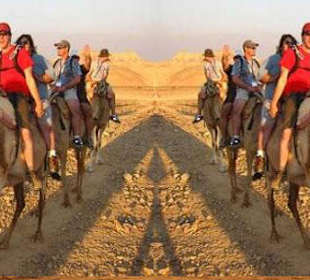 Camel Ride, Bedouin Dinner and Star Gazing 