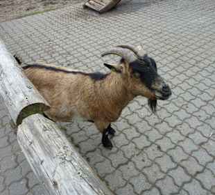 Karls Erlebnishof-Warnsdorf