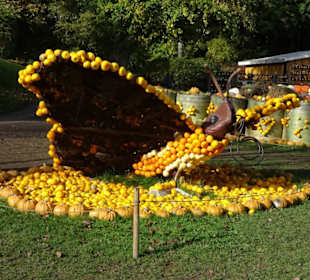 Kürbisausstellung