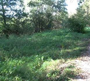 Baumlehrpfad Zollertal