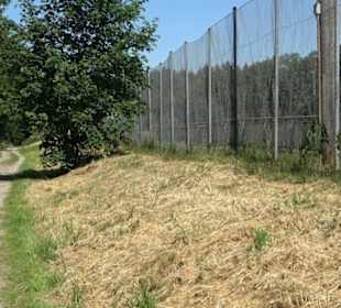 Sportplatz Bisingen