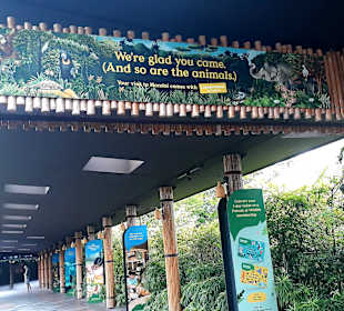 Singapur Zoo