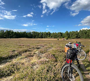 Wandern Bad Bevensen