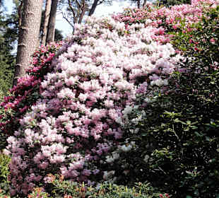 Impressionen vom Rundweg durch den Park