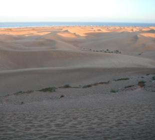 Die Düne von Maspalomas